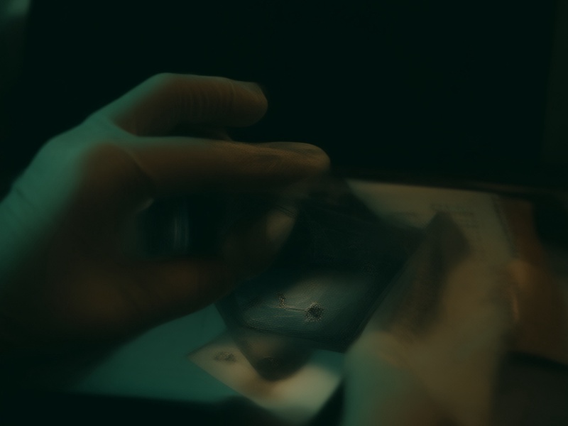 Damaged Phantom Seed Phrase Metal Plate: How to Read and Recover It Safely
